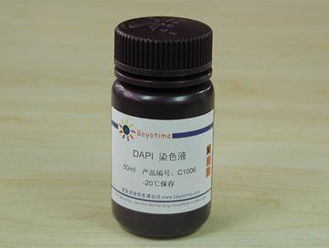 DAPI染色液